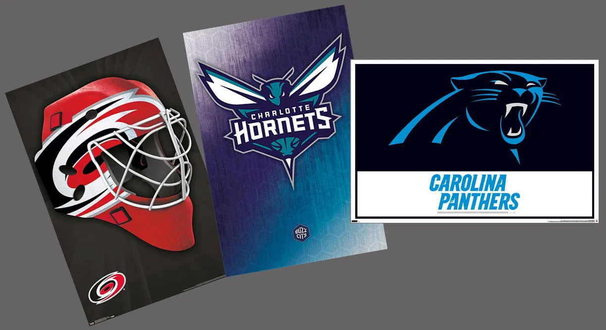 COMBO: NORTH CAROLINA PRO SPORTS 3-Poster Combo (Panthers, Hurricanes, Charlotte Hornets)