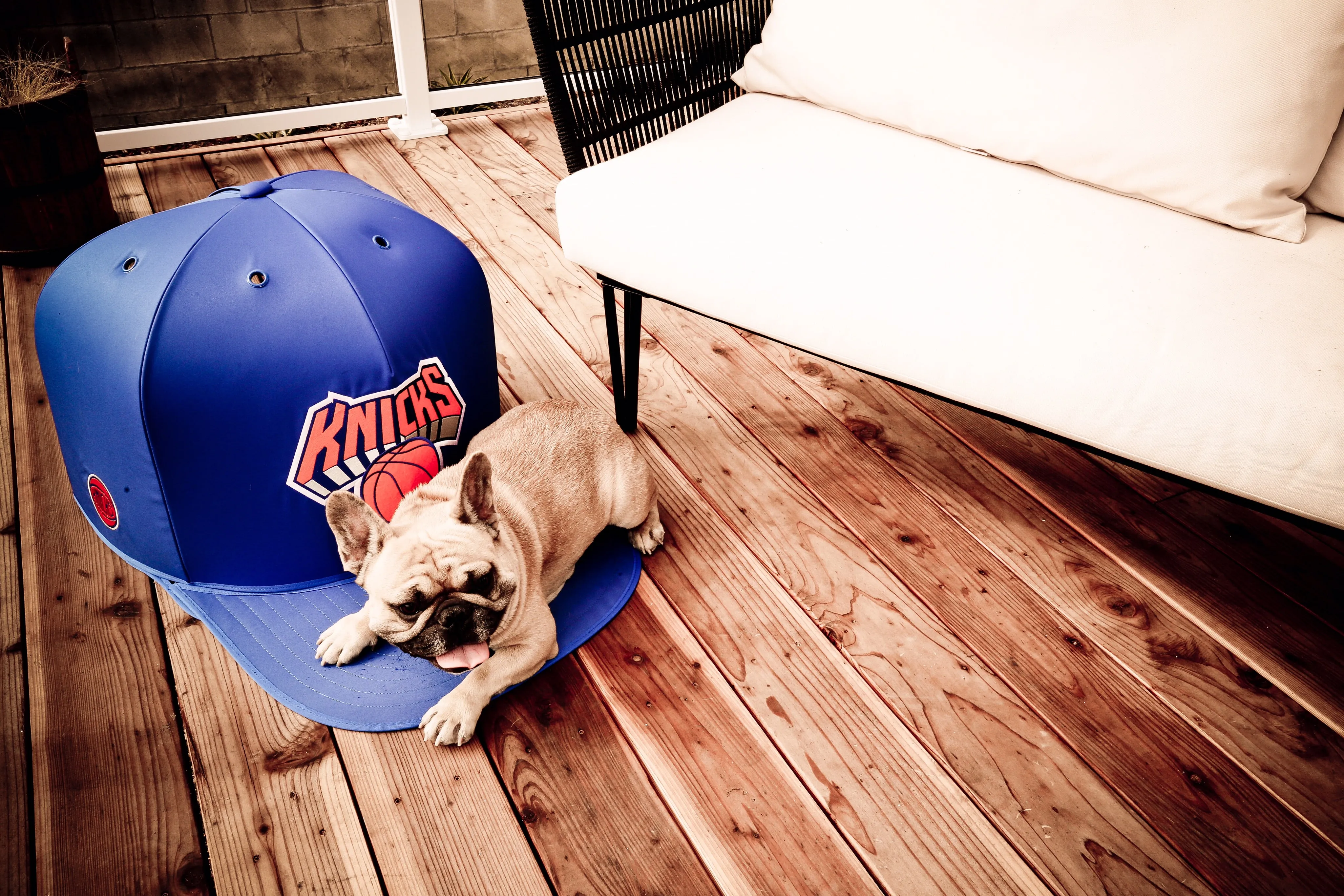 NEW YORK KNICKS NAP CAP PREMIUM DOG BED