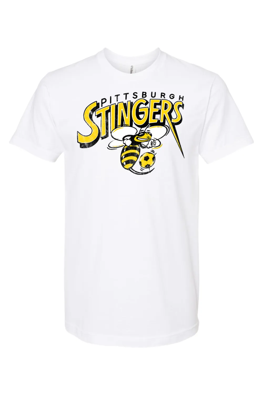 Pittsburgh Stingers - Indoor Soccer - 1994