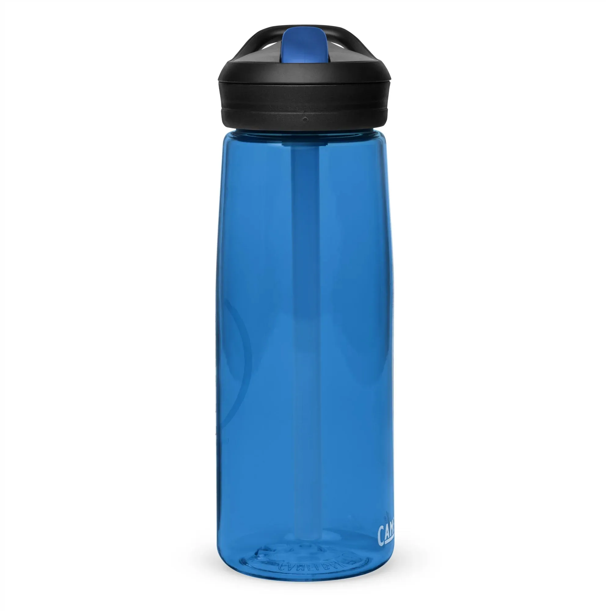 Professional title: "High-Quality Sports Hydration Bottle"