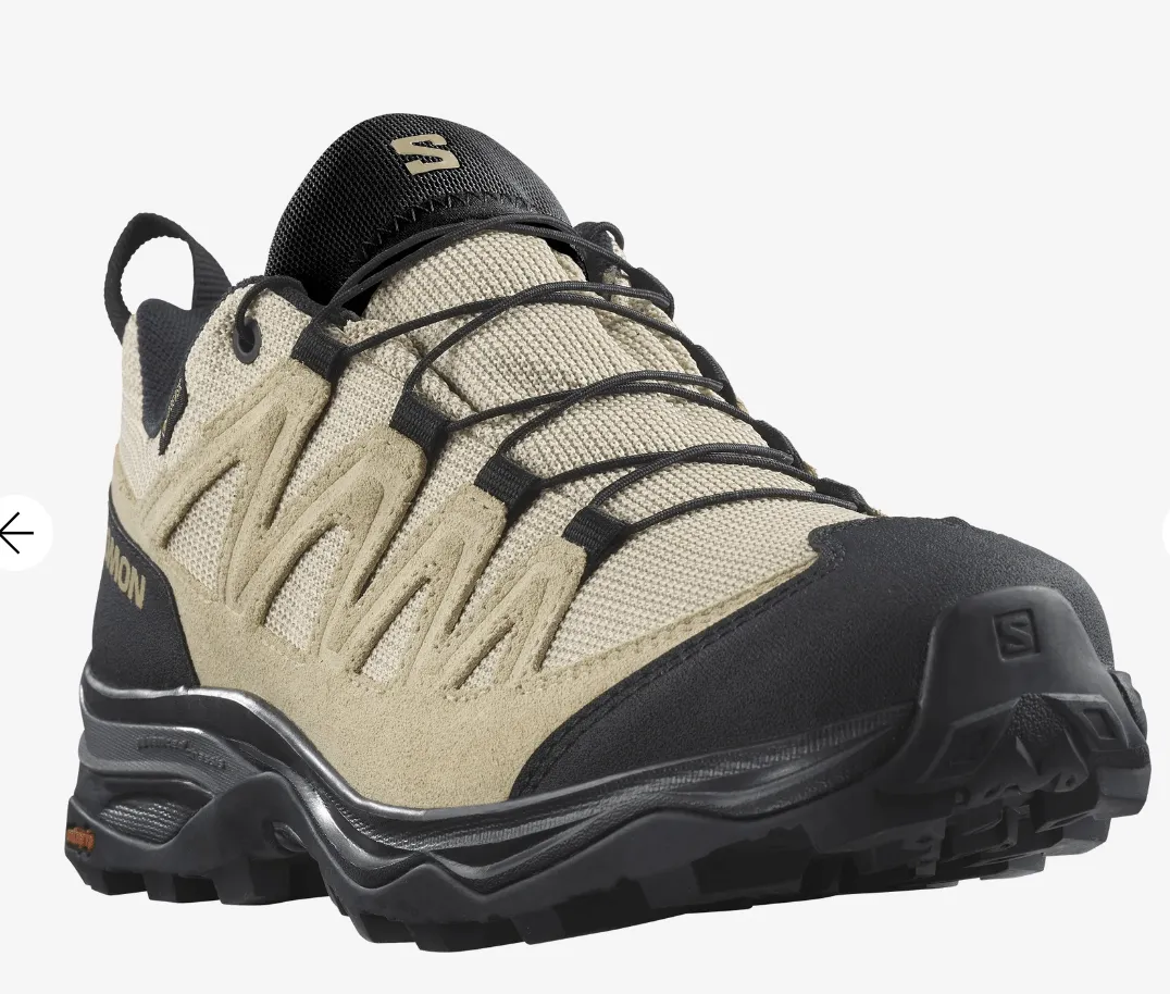 Salomon X Ward Leather GTX W's