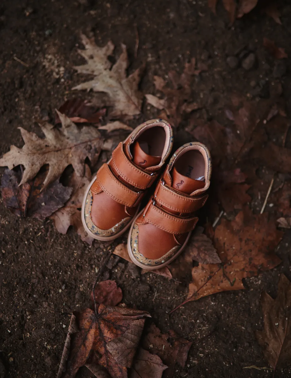 Sneaker - Cognac confetti