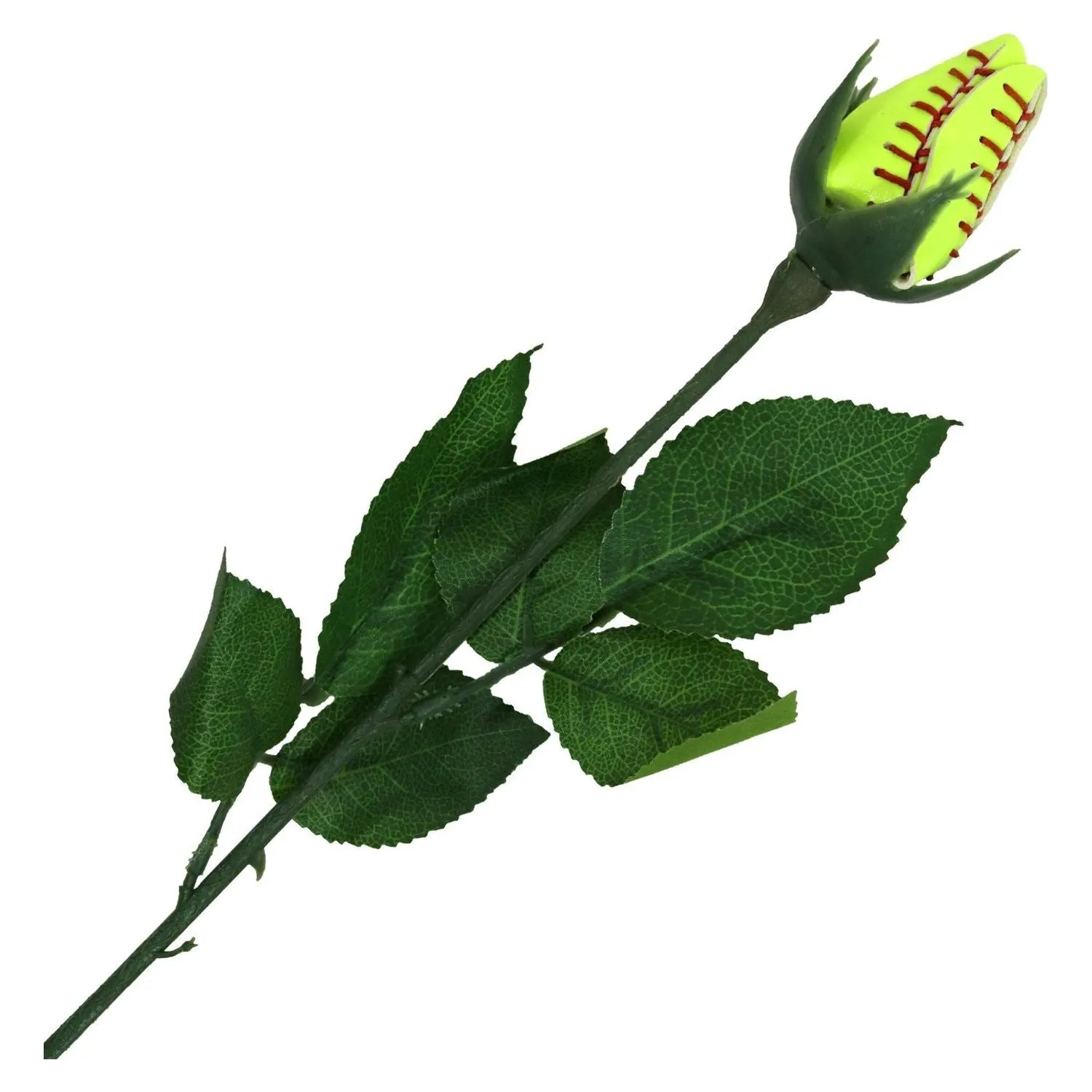 Sport Rose Sports Roses Flowers Softball Rose Volleyball Rose Football Rose Baseball Rose Cheer Rose Dance Rose