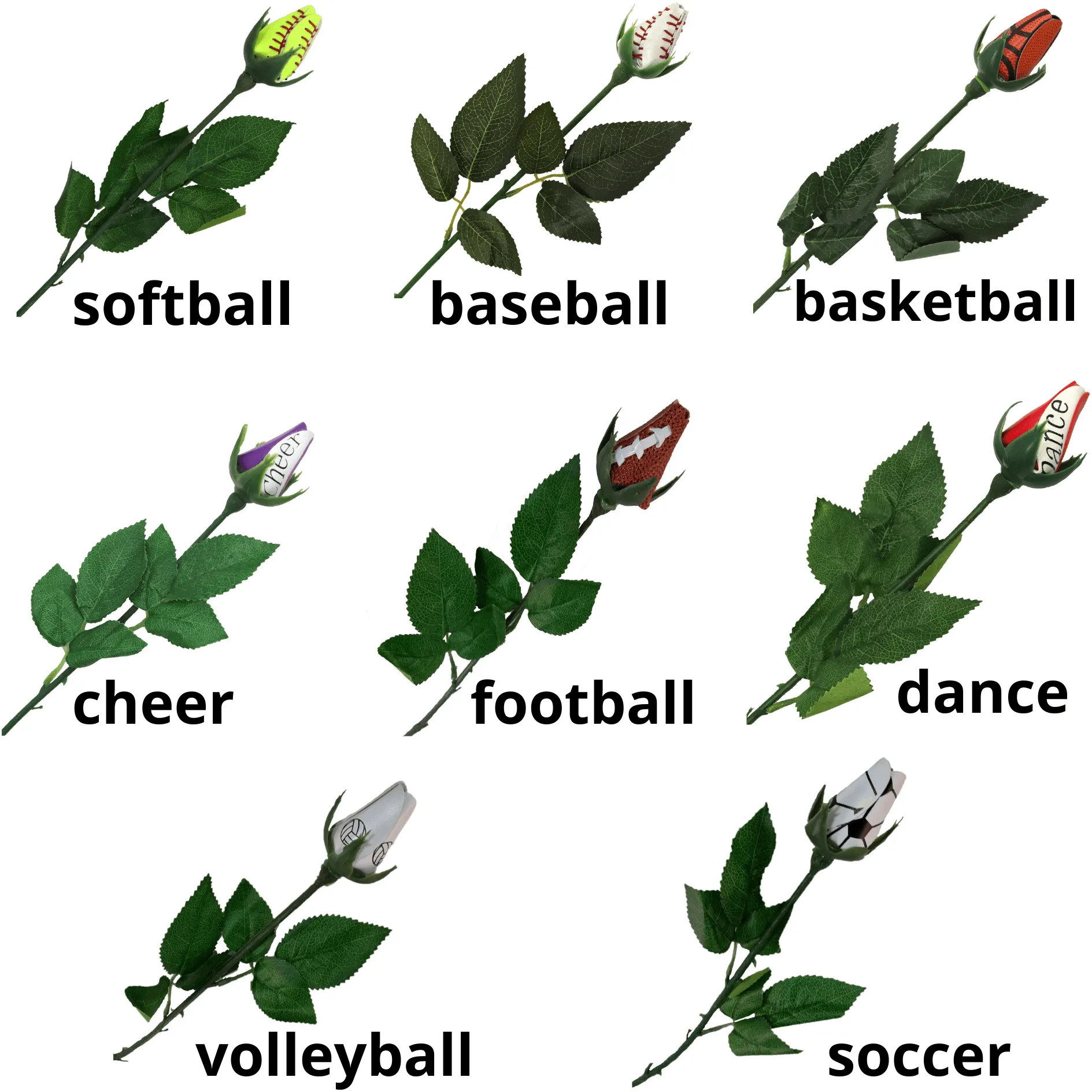 Sport Rose Sports Roses Flowers Softball Rose Volleyball Rose Football Rose Baseball Rose Cheer Rose Dance Rose